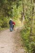 Dog Walking Path