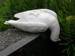 Small statue of a dove