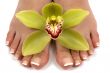 Feet and Orchid