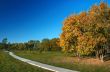 autumn in the park