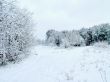 Road in the winter forest