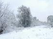 Road in the winter forest