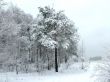 House after the snowdrift