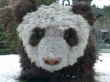 Mock-up of the bear of panda