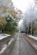 Tram path