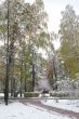 Winter came to town