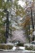 Winter came to town