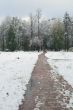 Winter came to town