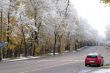 Winter came to town
