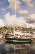 Green and White Sailboat