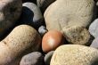 Rocks at	Seawall