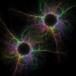 Synapse