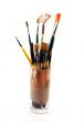 PaintBrushes on a white Background