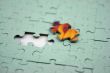 Jigsaw - Color Bit (Shallow DOF)