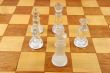 Chess Game - 5 Chess Pieces