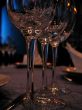 winy glasses