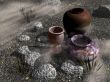 vases
