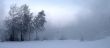 misty landscape