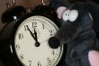 toy mouse and clock in eve of new year