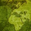 world map