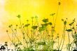 floral style textures