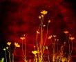 Great for textures and backgrounds