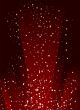 starry dark night