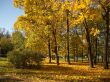 Autumn.