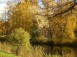 Autumn.