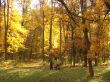 Autumn.