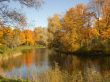 Autumn.