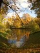 Autumn.