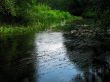 forest river