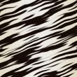 Zebra fur