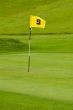 Golf green