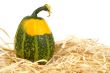 Yellow and green pumpkin