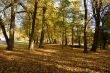 Fall colors