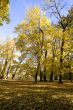 Fall colors