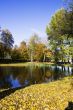 Fall colors