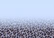 Leopard fur background