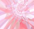 Soft pink floral abstract