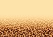 Leopard fur background