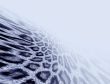 Leopard fur background