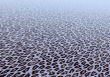 Leopard fur background