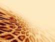 Leopard fur background