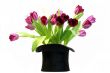 Black hat on white with tulips