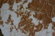 Old wall texture