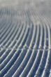 Snow tracks