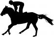 Racehorse