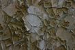 Aged wall texture